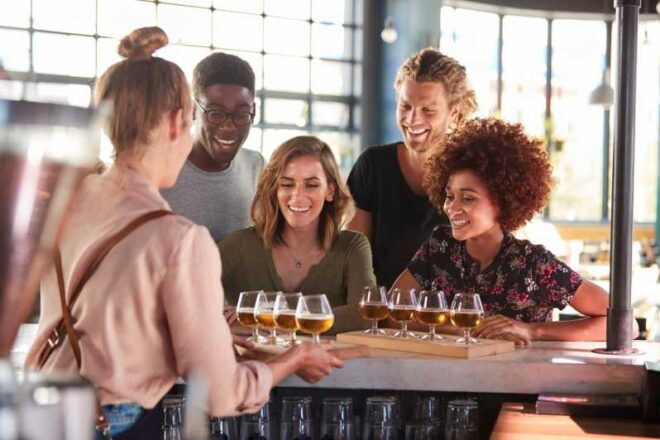 Austrian Beer Tasting and Self-Guided Tour of Vienna - Tour Materials Included