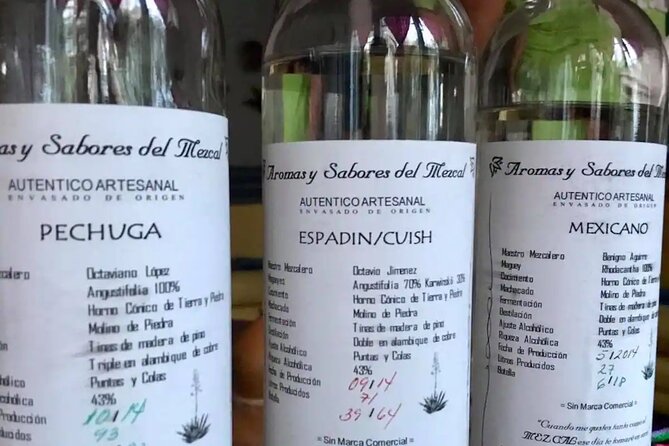 Authentic Ancestral and Artisanal Mezcal & Tequila Tasting - Pairing Mezcal and Tequila With Food