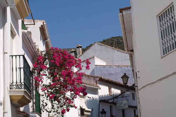 Authentic Andalusia - Jeep Eco Tour (Pick up From Marbella - Estepona) - Parque Nacional Sierra De Las Nieves