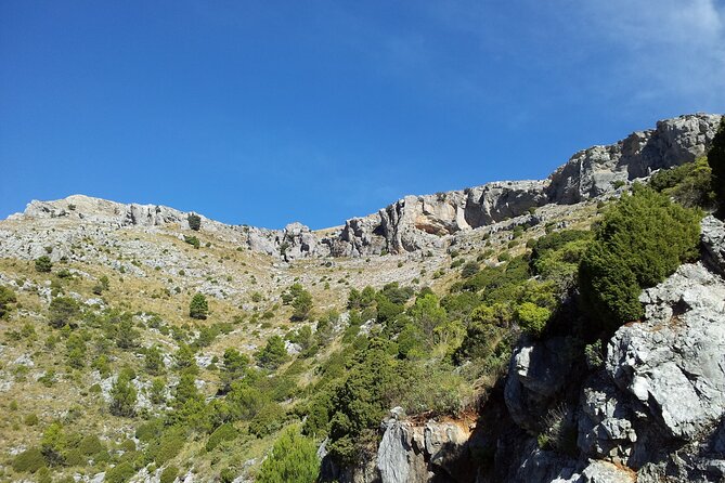 Authentic Andalusia - Jeep Eco Tour (Pick up From Marbella - Estepona) - Traditional White Villages