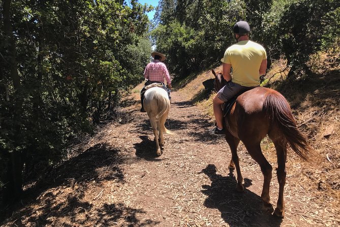 Authentic Andes Adventure: Private Horse Riding and Cheese & Wine - Traveler Photos and Reviews