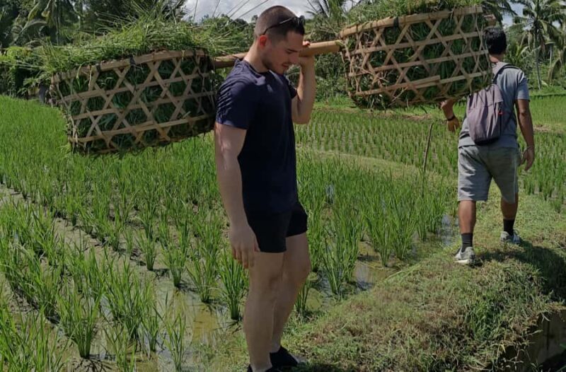 Authentic Balinese Local Life Experience in Pinge Village - Good To Know