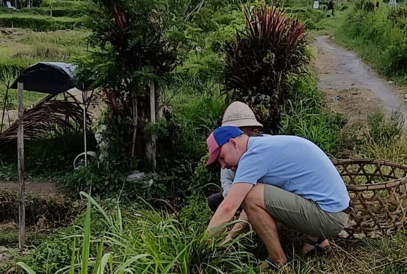 Authentic Balinese Local Life Experience in Pinge Village - Authenticity and Value