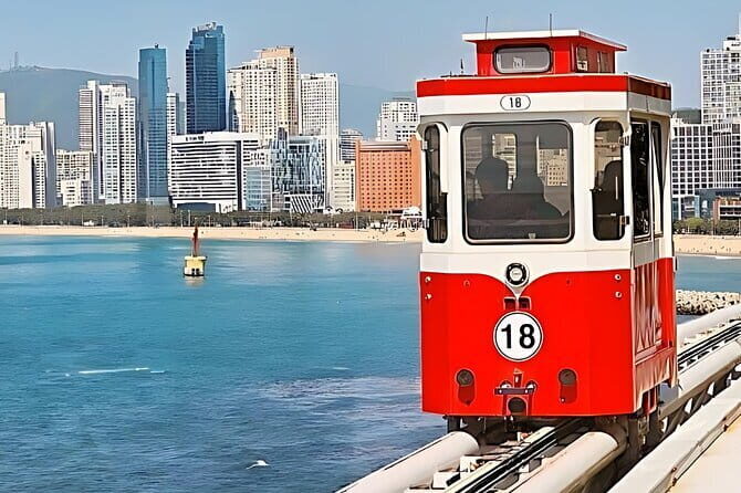 Authentic Busan Full-Day City Highlights Tour - In-Depth Look at the Itinerary