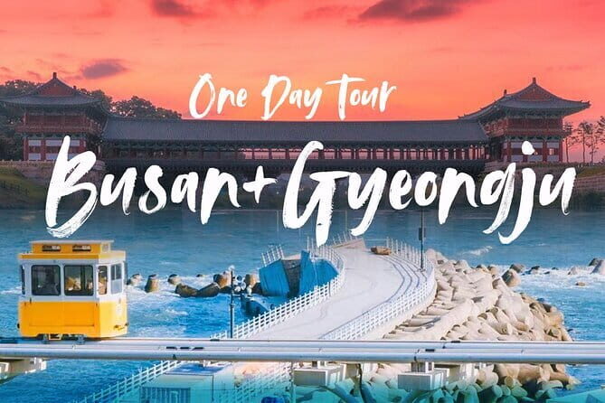 Authentic Busan Full-Day City Highlights Tour - Transportation and Group Dynamics