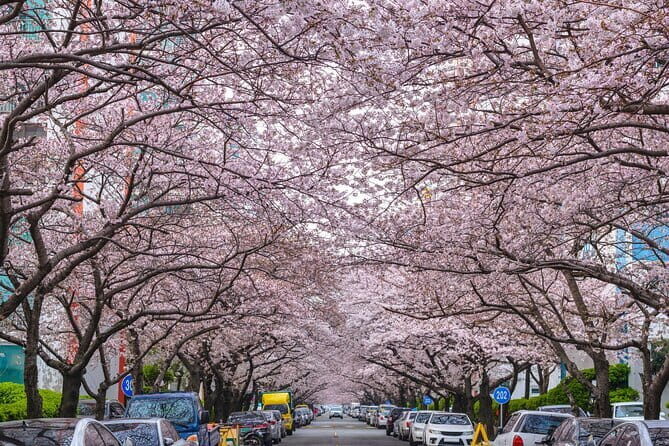 Authentic Busan Full-Day City Highlights Tour - FAQ