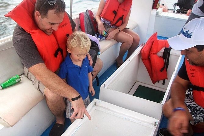 Authentic Cabo San Lucas Tour - Reviews