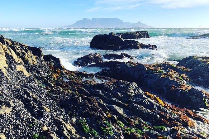 Authentic Cape Town Tour - Customer Reviews