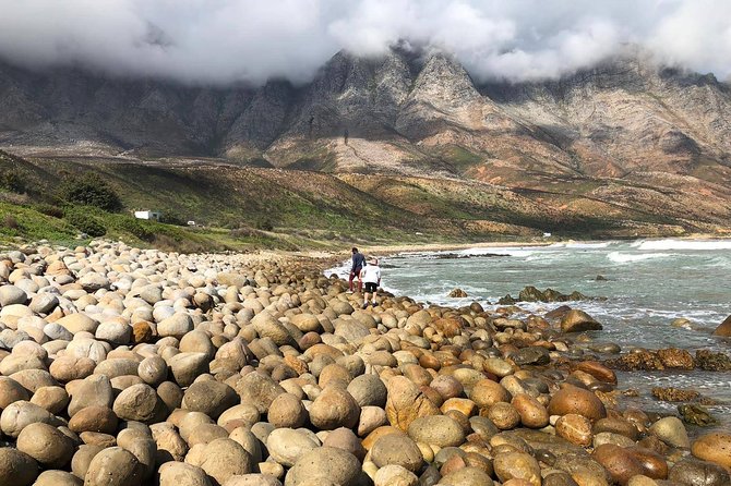 Authentic Cape Town Tour - Assistance and Support