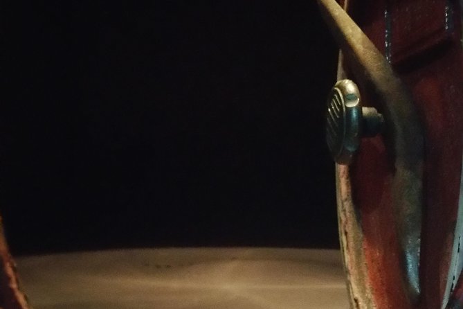 Authentic Château Chatain Wine Tasting & Vines Leaves Hunting - Exploring the Vineyards: Vines Leaves Hunting