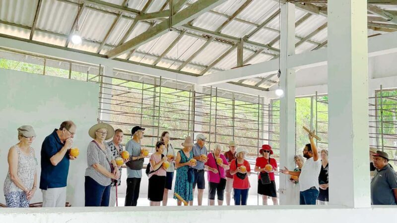 Authentic Cinnamon Tour with Cinnamon Tea Tasting Experience - Frequently Asked Questions