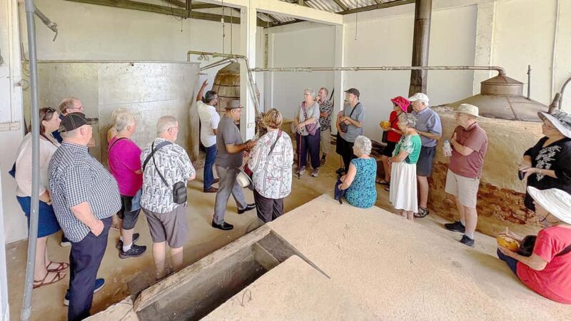 Authentic Cinnamon Tour with Cinnamon Tea Tasting Experience - Cinnamon Tea and the Scenic Ambalama