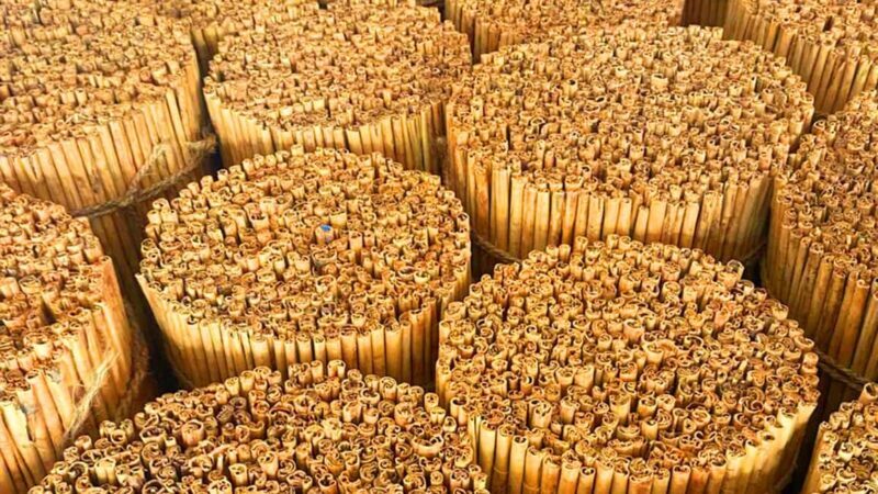 Authentic Cinnamon Tour with Cinnamon Tea Tasting Experience - Shopping for Cinnamon Products