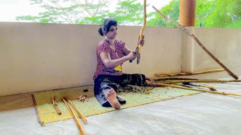 Authentic Cinnamon Tour with Cinnamon Tea Tasting Experience - Final Thoughts: Who Should Book This Tour?