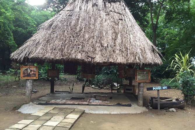 Authentic Cultural and Historical Village Tour of Nadi Ex Fiji Marriott Resort - Weather and Minimum Travelers