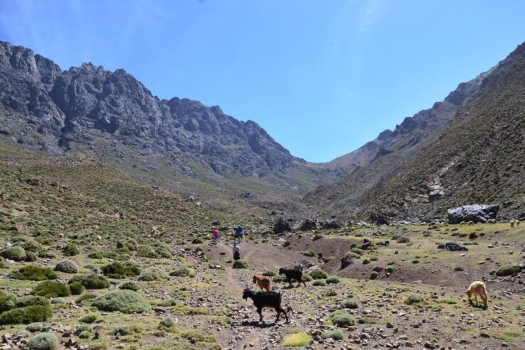 Authentic Day Walk in Atlas Mountains - Experience Highlights