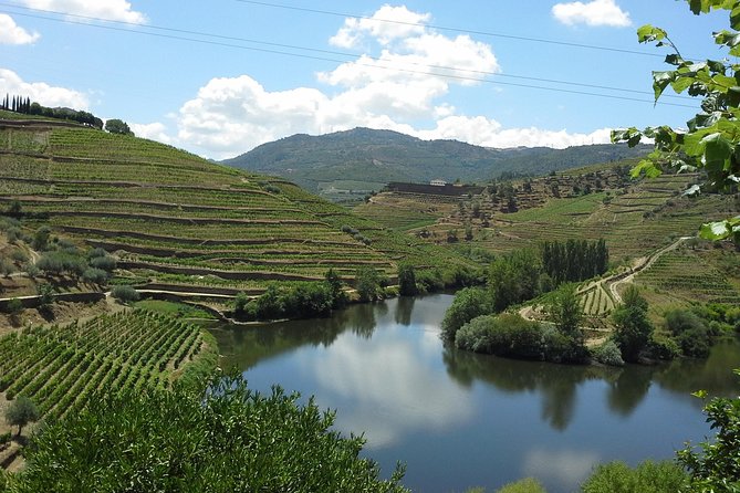 Authentic Douro Valley - Small-Group Tour (Max 7) - Group Size and Experience