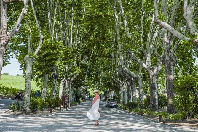 Authentic Douro Valley - Small-Group Tour (Max 7) - Douro Valley Exploration