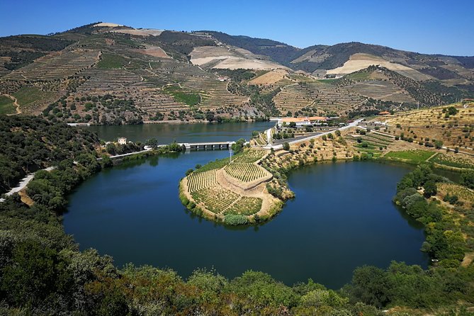 Authentic Douro Valley - Small-Group Tour (Max 7) - Wine Tastings and Regional Cuisine