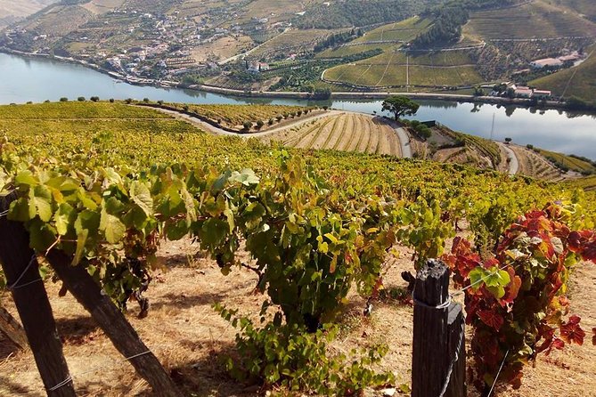 Authentic Douro Valley - Small-Group Tour (Max 7) - Meeting Point and Accessible Transportation