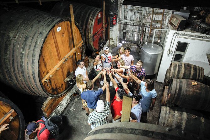 Authentic Douro Wine Tour Including Lunch and River Cruise - Positive Customer Reviews and Praise for Tour Guides