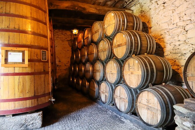 Authentic Douro Wine Tour Including Lunch and River Cruise - Interact With Other Passengers and Make New Friends