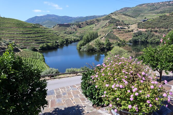Authentic Douro Wine Tour Including Lunch and River Cruise - Brahims Engaging and Fun Narrative