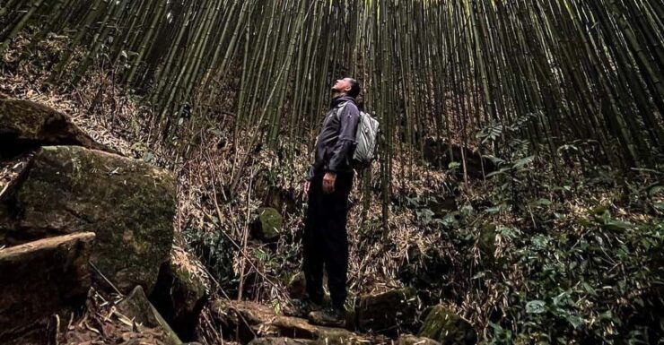 Authentic Experience,BambooForest,Waterfall ,LESS TOURIST - Good To Know