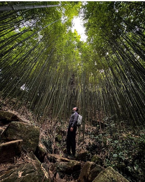 Authentic Experience,BambooForest,Waterfall ,LESS TOURIST - Cultural Insights