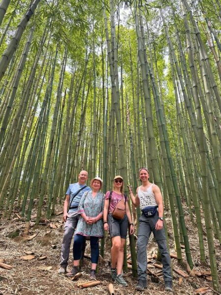 Authentic Experience,BambooForest,Waterfall ,LESS TOURIST - Safety and Accessibility