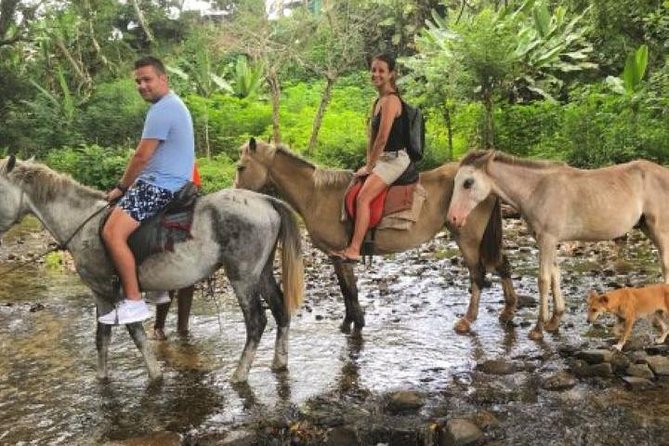 Authentic Fijian Day Tour - Questions and Assistance