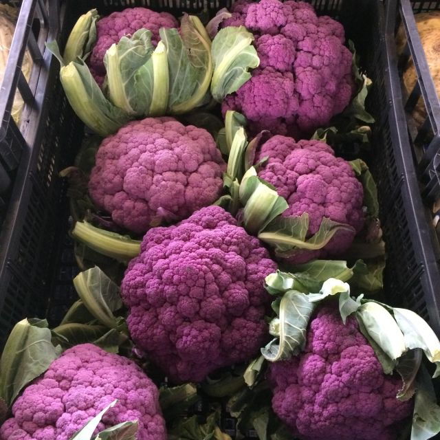 Authentic Florence: Sant'Ambrogio Food Market Tour and Lunch - Booking Information