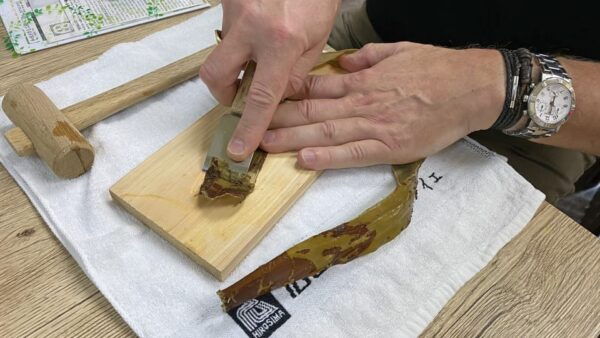 Authentic Handmade Washi Paper Making Workshop in Ueno - Directions to Ueno