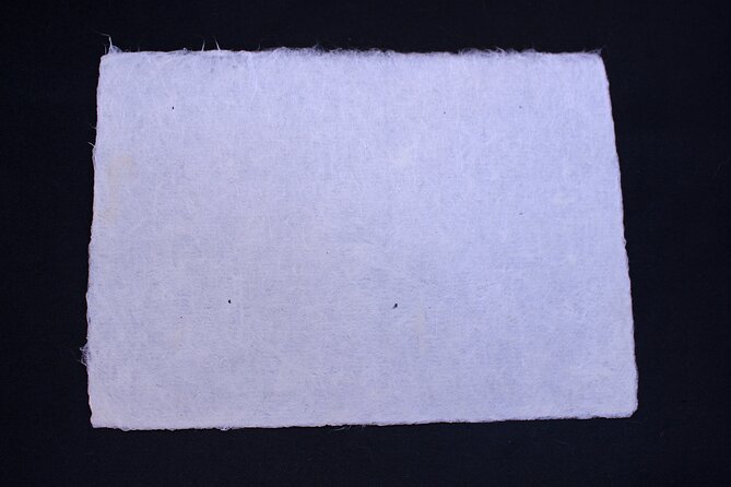 Authentic Handmade Washi Paper Making Workshop in Ueno - Participant Information and Allergy Notice