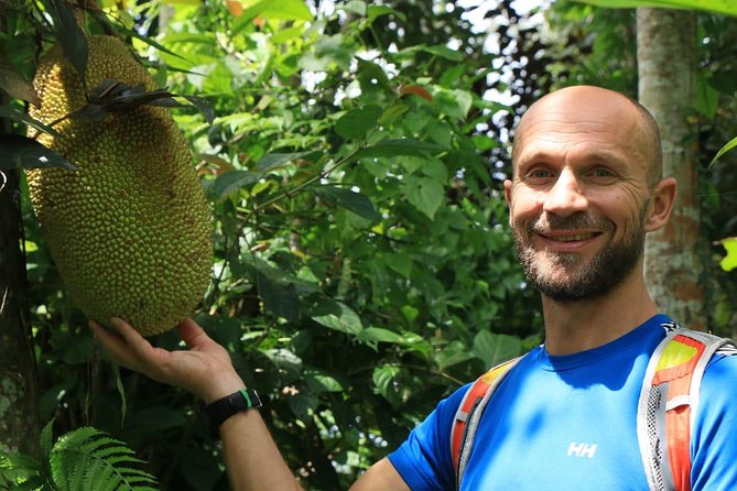 Authentic Hike in the Forest With Lunch at the Inhabitant - Highlights of the Forest Hike