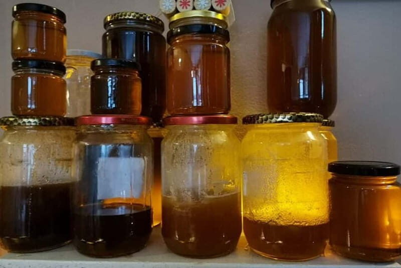 Authentic Homemade Bulgarian Dessert Tasting in Sofia - Final Thoughts