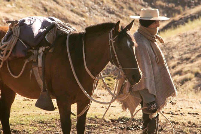 Authentic Horseback Ride With Chilean Cowboys in the Andes Close to Santiago! - Pricing and Booking Details