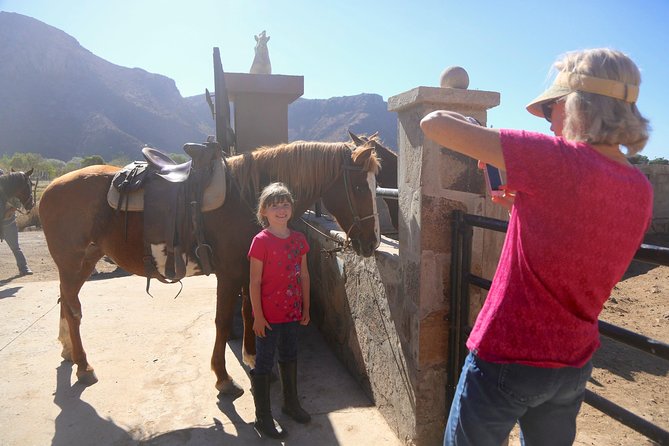Authentic Horseback Riding in Beautiful La Mision - Meeting and Pickup