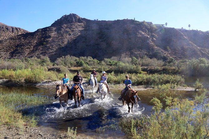 Authentic Horseback Riding in Beautiful La Mision - Customer Reviews and Experiences