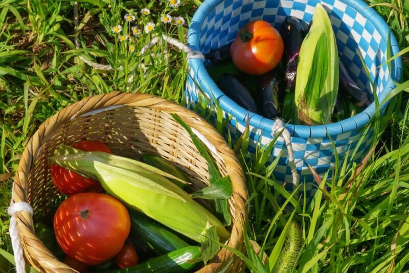 Authentic! Japanese Ramen Cooking Experience - A Deep Dive into the Ramen Experience