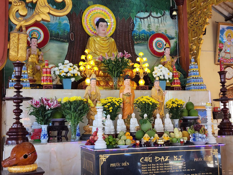 Authentic Mekong Delta to Ben Tre Tour by Luxury Speedboat - Should you book the Ben Tre speedboat tour?