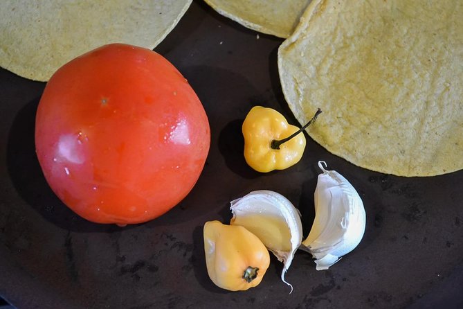 Authentic Mexican Cooking Class in Playa Del Carmen - Hosts Response and Additional Information
