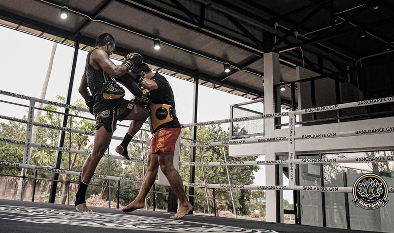 Authentic Muay Thai Training at Buakaw Village Koh Samui - What your visit is likely to look like