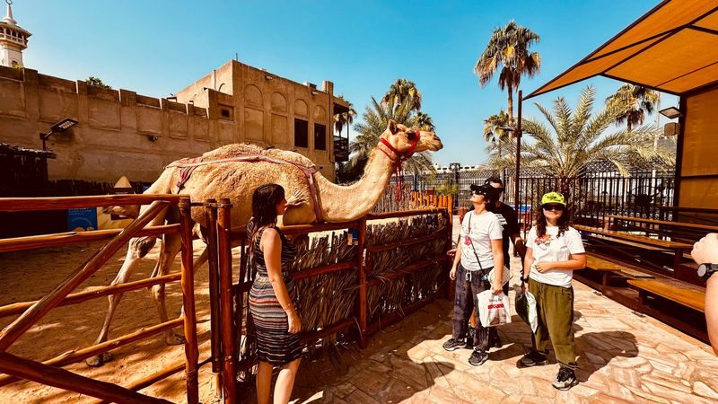 Authentic old Dubai & Souks tour with Abra ride in Dubai - Who should book this Old Dubai walk?