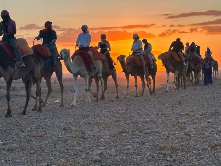Authentic Package Buggy Bike Camel Ride, Dinner Show & Dance - Highlights