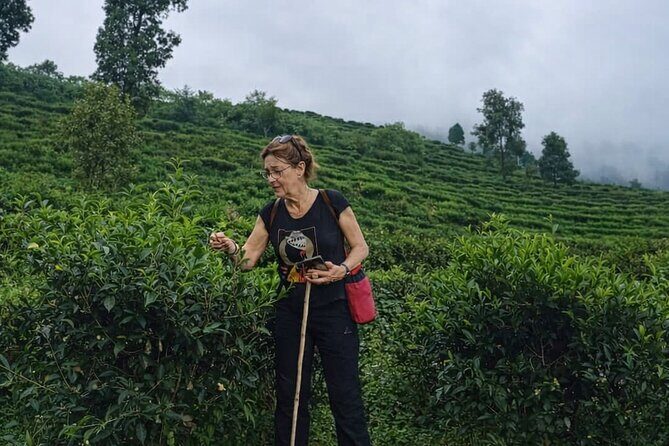 Authentic Pokhara - 2 Days of Immersive Experiences - Why This Tour Offers Real Value