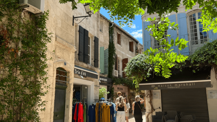 Authentic Provence: Arles, St Rémy, Les Baux-de-Provence - Key Points