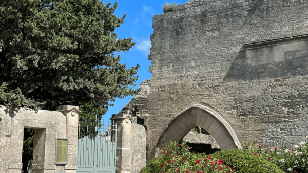 Authentic Provence: Arles, St Rémy, Les Baux-de-Provence - Unique Experiences