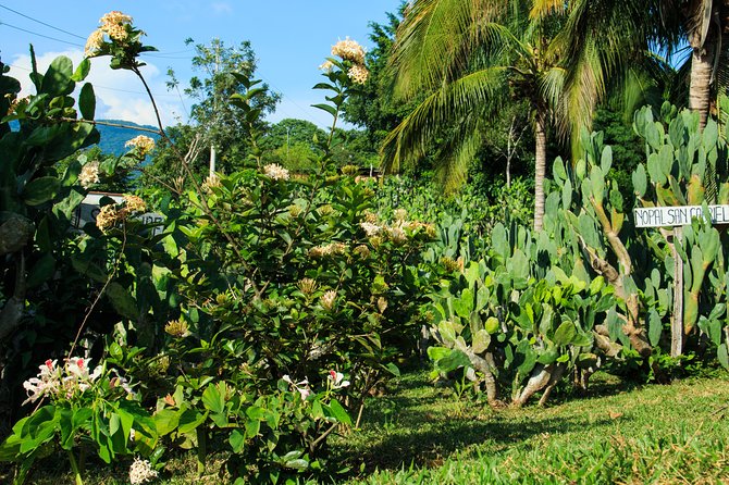 Authentic Rural Mexican Experience Adventure - The Sum Up