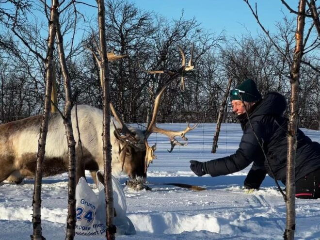 Authentic Sami Reindeer Herding Adventure in Arctic Norway - Transportation Options